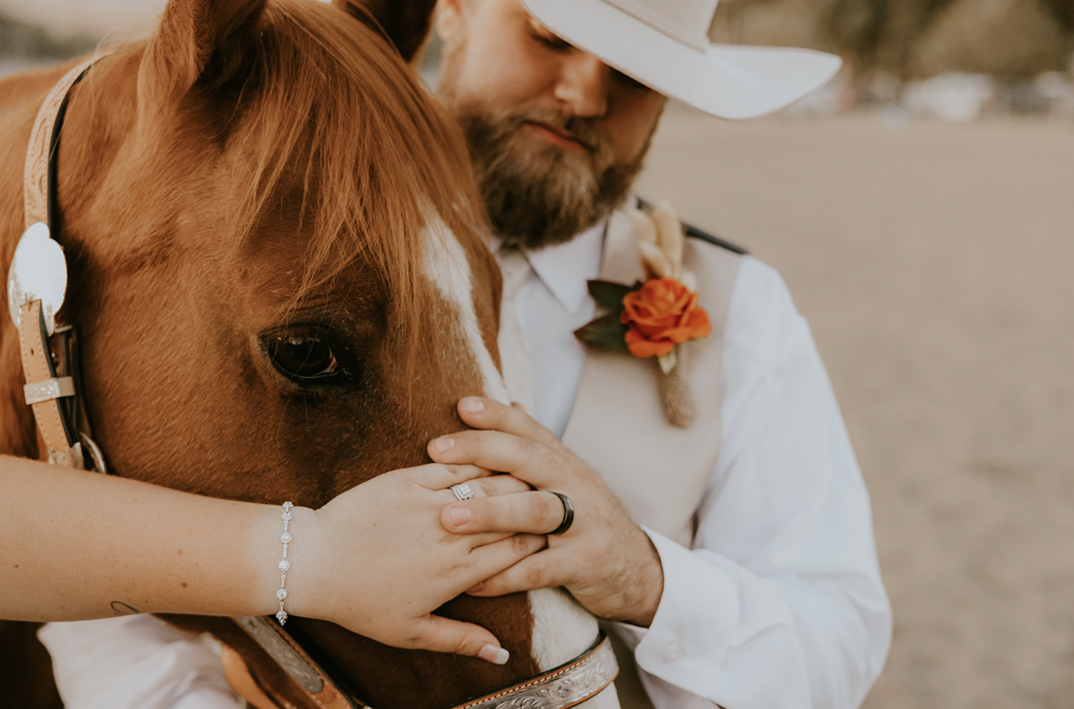 western wedding with horse bridals